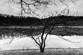 2020_02_15_lac de panneciere (0031)